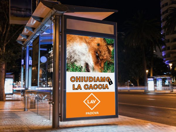 Manifesti-Poste-Locandine--CACCIAbus--1200x800px